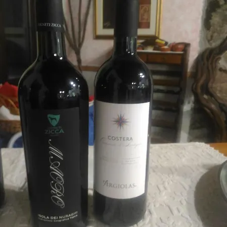 Il Nido Dell'aquila 3* Villanova Strisaili